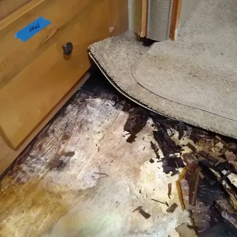 Wood Floor Water Damage in Murray, UT